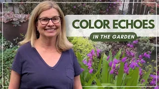 Color Echoes in the Garden
