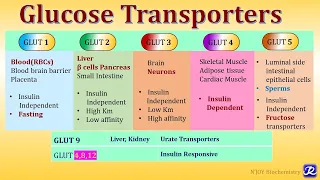 3: Glucose Transporters-GLUT/SGLT | Carbohydrate Metabolism| Biochemistry | N'JOY Biochemistry