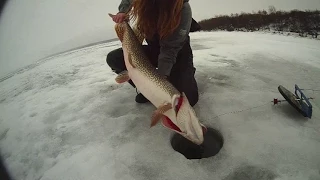 Small Girl Catches Big Fish