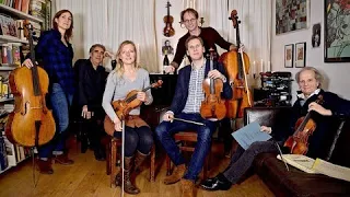 Dutch String Collective speelt Schubert