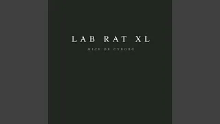 Lab Rat 3