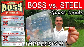 BOSS Bismuth #2 vs. Steel #2 and BB Shot | Ballistics Gel and Pattern Test Goose Shells