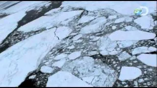 Beyond Survival with Les Stroud - The Arctic | Sneak Peek