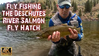 Deschutes River Salmon Fly Hatch (Fly Fishing). My LARGEST Wild Rainbow Trout Of The Season!