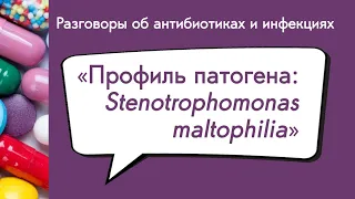 Вебинар «Профиль патогена: Stenotrophomonas maltophilia»