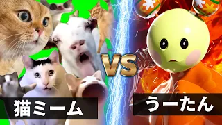 うーたん vs 猫ミーム軍団【NHK狂育バトル】【猫マニ魔界版】