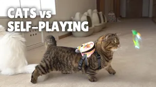 Cats vs Self-Playing | Kittisaurus