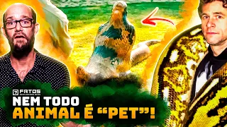 7 ANIMAIS domésticos que COMERAM seus DONOS