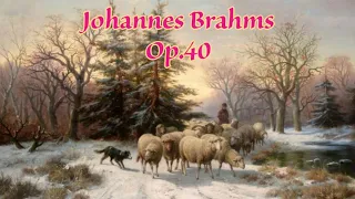 Johannes Brahms - Op.40 Horn Trio in E-flat major