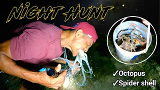 Maliliit na pugita, Safe ba kainin? Night Octopus hunting|ka island