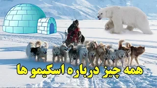 اسکیمو ها این شکارچیان طبیعت را بهتر بشناسیم!