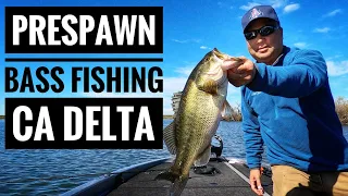 Early Prespawn Bass Fishing: We're Back on the California Delta