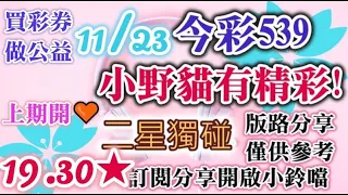 11/22 今彩539 小野貓有"精彩"539 二星獨碰版路分享 上期開❤19.30雙★★❤