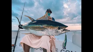 YELLOW FINS TUNA POPPING MALDIVES 🇲🇻