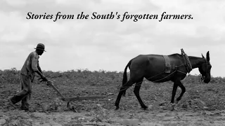 The South's Forgotten Farmers - SHARECROP | Full Documentary