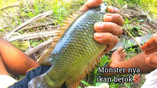 Fishing for betok fish in a swamp that has not been touched by anglers for thousands of years