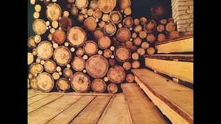 151 Amazing ideas from wood cuts in the interior 151 Удивительных идей из спилов дерева в интерьере