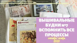 Вышивка крестом/ВСПОМНИМ ВСЕ ПРОЦЕССЫ/Вышивальные будни