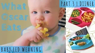 7 DINNER IDEAS | Baby Led Weaning