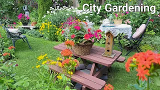 Small City Garden Packed with Colourful Flowers | Perennial Garden Tour