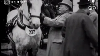 Van Horse Parade in Regents Park (1921)