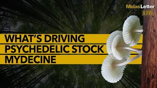 What's Driving Psychedelic Stock Mydecine (MYCO, MYCOF) $3 Analyst Target?