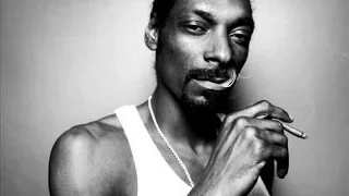 Alok & Icy Sasaki   Snoop Sings Casablanca Mix