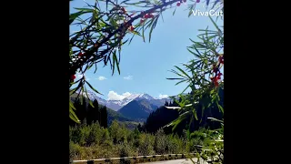 ОСЕННЯЯ МИНИАТЮРА💫   Музыка -- Заури Оспанова, фото -- Андрей Багаев и Заури Оспанова.