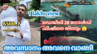 200 കിലോ ഭാരം വരുന്ന മീനെ വാങ്ങി... | buying arapaima | worlds biggest fresh water monster | kerala