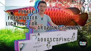 Week Aqua Lighting Review - Finally a freshwater LED that can do tanning