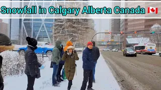 Snowfall in Calgary Alberta Canada  #calgary #canada #alberta #snow