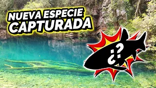 Pescando en LUGAR SECRETO de LA SIERRA *encontré PECES DESCONOCIDOS*