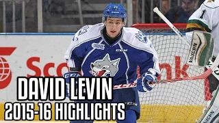 David Levin | 2015-16 Highlights | Sudbury Wolves