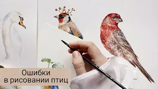 Рисуем птиц акварелью: основные ошибки