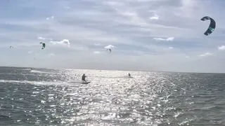 ParaSurfing  Tampa Bay