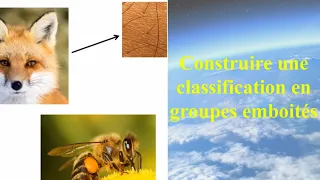 Construire une classification en groupes emboités