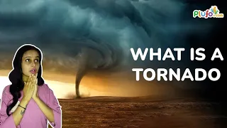 What is a Tornado || Learn curious facts with #wowfacts by Plufo.com - #tornado #facts #plufo