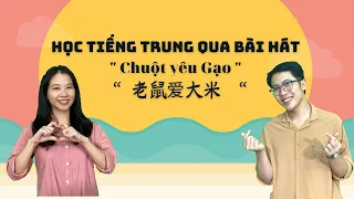 Học tiếng Trung qua bài hát | Chuột yêu gạo | 老鼠爱大米 | Lǎoshǔ ài dàmǐ | Vietsub + pinyin