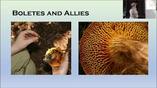 Lincoff Foray Science Sunday - Mushroom Photography for ID & Clarity - Cara Coulter