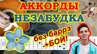 Незабудка Аккорды ♪ Тима Белорусских ♫ Разбор песни на гитаре 🎸 Гитарный Бой