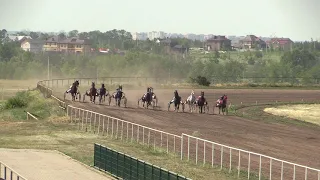 09 ПРИЗ «ПИОНА» 2-й гит 27.06.21. ЖиК орл. пор. старшего возраста.1600 м. Воронежский ипподром