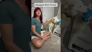 TikTok Tips: Use the Aquapaw Slow Treater on Grooming Day