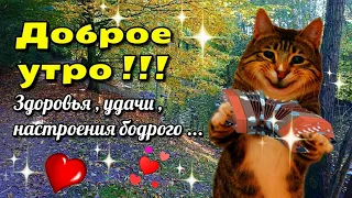 🍁🌞💗Доброго утра благословенного дня!🌞🍁Отличнной недели!🍁💗Красивое музыкальное пожелание🍁