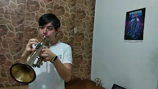 Hogwarts March - Trumpet Cover