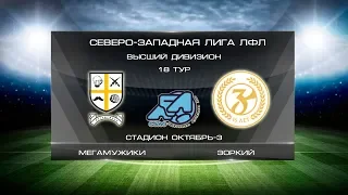 Мегамужики 6:2 Зоркий | Высший дивизион 2019/2020 | 18-й тур | Обзор матча