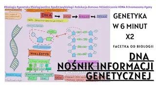 Wszystko o DNA - Genetyka - Darmowe Lekcje Biologii Online -8 klasa - Nośnik informacji genetycznej