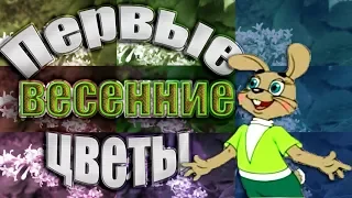 Первые весенние цветы. Весна пришла. Детские песни для детей о весне. Видео с героями мультфильмов.