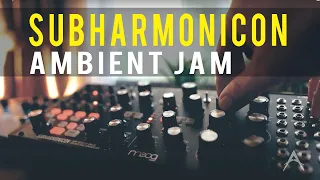 Moog Subharmonicon - Ambient Music