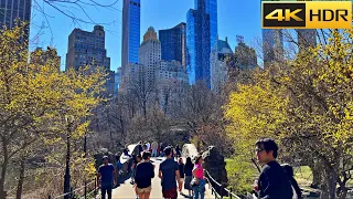 Summer arrives at Central Park - New York 2023 | A Walking Tour in Central Park [4K HDR]