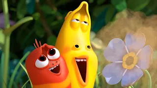 LARVA - flores bonitas | 2018 Filme completo | Dos desenhos animados | Cartoons Para Crianças